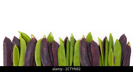 Assortiment de pois à sucre vert et de pois à neige violets. Vue de dessus des gousses de pois alignées en bas. Légumes riches en protéines. Isolé sur blanc. Banque D'Images