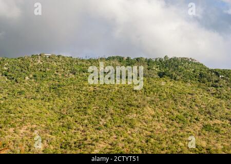 Une section de la réserve nationale de Shimba Hills, montrant des arbres sur une grande colline, Kenya, Afrique de l'est Banque D'Images