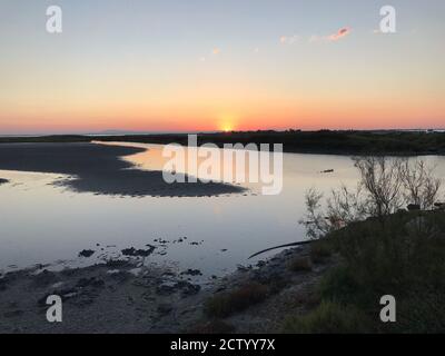 Tôt le matin dans les vastes marais de la Camargue est De Saintes Maries de la Mer Banque D'Images