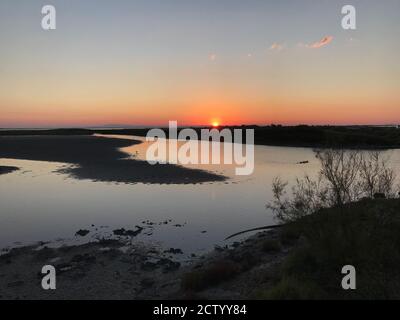 Tôt le matin dans les vastes marais de la Camargue est De Saintes Maries de la Mer Banque D'Images