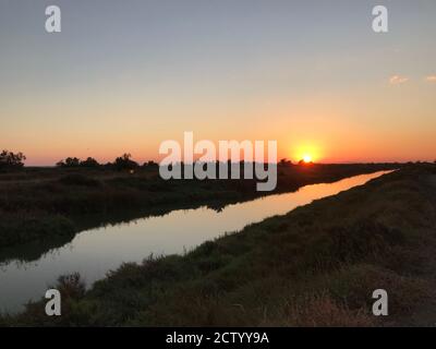 Tôt le matin dans les vastes marais de la Camargue est De Saintes Maries de la Mer Banque D'Images