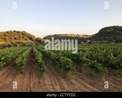 Les impressions forment le massif de la clape, une petite gamme de collines calcaires près de Gruissan Banque D'Images