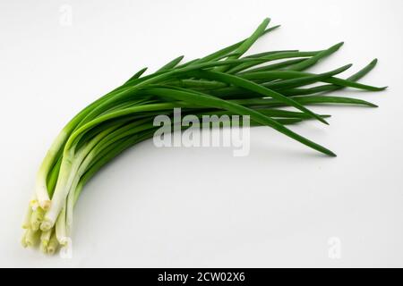 bouquet d'oignons verts sur fond blanc Banque D'Images