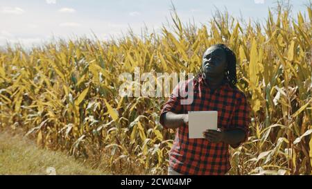 Concept d'agriculture intelligente. L'agronome africain tient le comprimé dans le champ de maïs . Photo de haute qualité Banque D'Images