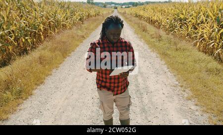 L'agronome africain tient un comprimé sur la route entre les champs de maïs. Une agriculture intelligente et une technologie moderne. Photo de haute qualité Banque D'Images