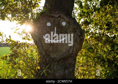 Gros plan d'un arbre avec un visage smiley peint il Banque D'Images