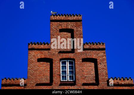 Toit en briques avec un oiseau assis sur le dessus - transparent ciel bleu Banque D'Images