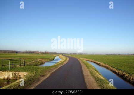 Paysage de pâturage en Hollande du Nord en hiver. Une route étroite à travers les prairies avec un fossé le long de la route. Pays-Bas, décembre Banque D'Images