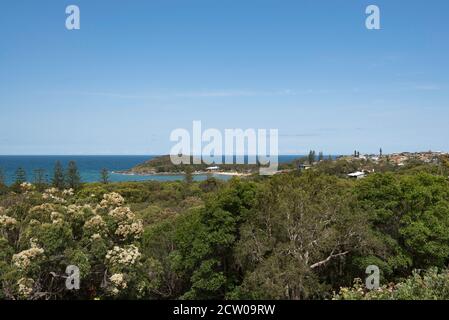 Scotts Head Surf Life Saving Club et sa plage principale, Forster Beach, sur la côte nord de la Nouvelle-Galles du Sud, en Australie Banque D'Images