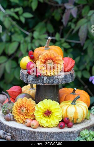 dahlias jaune et orange, citrouilles et physalis sur whatnot comme décoration d'automne Banque D'Images