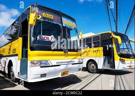 Deux bus de couleur jaune de la compagnie de paquebot Ceres se trouvant en ligne à un terminal de bus dans la ville de Kalibo, Panay, Visayas, Philippines Banque D'Images