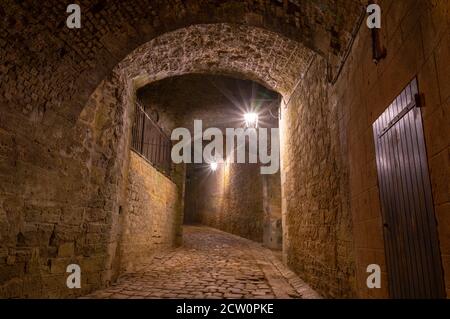 Entrée ombragée dans l'immense château de Sedan, pas de personnes, la nuit sous les feux de la rue Banque D'Images