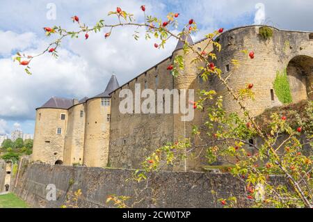 Murs massifs du fort du château de Sedan, l'une des plus grandes forteresses d'Europe située dans la partie nord-est de la France (Grand est) Banque D'Images