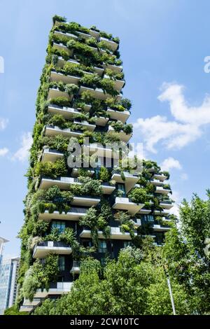 Bâtiments modernes et futuristes nommés Bois vertical à Mian. Banque D'Images