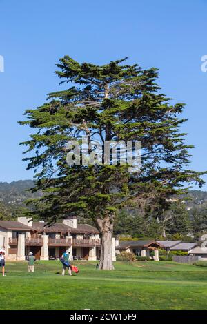 Point Joe, Del Monte Forest, Californie, 2020 : parcours de golf avec vue sur les liens en bord de mer du Monterey Peninsula Country Club situé sur la 17 Mile Drive Banque D'Images