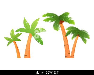 Ensemble de palmiers avec noix de coco de plantes tropicales. Illustration de Vecteur