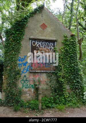 Une structure abandonnée, abandonnée, élicte, de vigne et de graffiti couverte avec toit cassé au milieu des bois. Réserve naturelle de Ruislip Woods, NW London. Banque D'Images