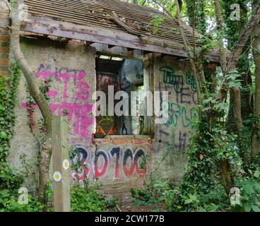 Une structure abandonnée, abandonnée, élicte, de vigne et de graffiti couverte avec toit cassé au milieu des bois. Réserve naturelle de Ruislip Woods, NW London. Banque D'Images