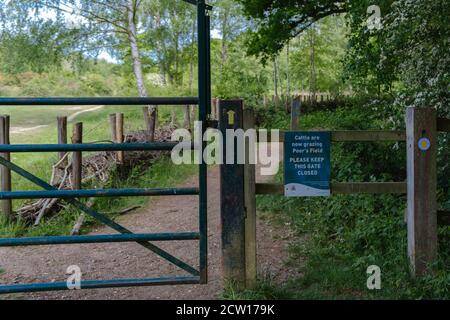 Signez sur la clôture par Hillingdon Green Spaces Team sur le pâturage du bétail et pour garder la porte fermée. Réserve naturelle de Ruislip Woods. Banque D'Images