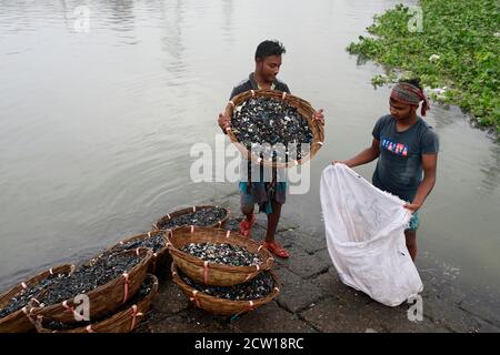 Dhaka, Bangladesh. 26 septembre 2020. Les travailleurs bangladais collectent des pièces de plastique après les avoir lavées dans les eaux de la rivière Burigonga, à Dhaka, au Bangladesh, le 26 septembre 2020. Il y a environ 12-13 ans, le fleuve Buriganga était une voie d'eau populaire pour la communication et le transport de marchandises lorsqu'il coulait à travers Rasulpur à Kamrangirchar. Cependant, le Burigang ne peut plus être appelé une rivière car il a tellement rétréci qu'il est maintenant plus étroit qu'un canal. Les habitants de la région l'appellent maintenant une « rivière en plastique », même s'ils ont admis à la polluer avec des déchets en plastique. Dans la ville de Dhaka, plus Banque D'Images