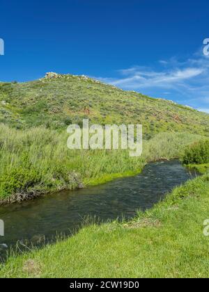 Petit ruisseau de montagne, Park City Utah États-Unis Banque D'Images