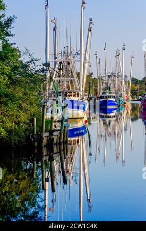 Les bateaux à crevettes sont alignés sous le soleil couchant, le 25 septembre 2020, à Bayou la Bare, Alabama. Banque D'Images