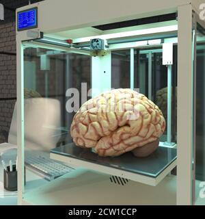 Le cerveau humain est imprimé en 3D. Sceau des organes humains. Futur concept avec robotique intelligente et intelligence artificielle. Utilisation d'une imprimante 3D dans Banque D'Images