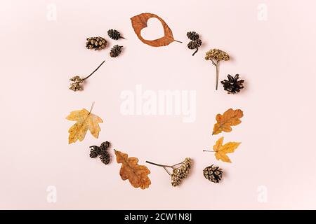 Composition de la couche plate avec feuilles d'érable sèches, fougères, feuilles de forme de coeur et cônes de pin sur fond rose pour la publicité. Automne créatif, thanksgivi Banque D'Images