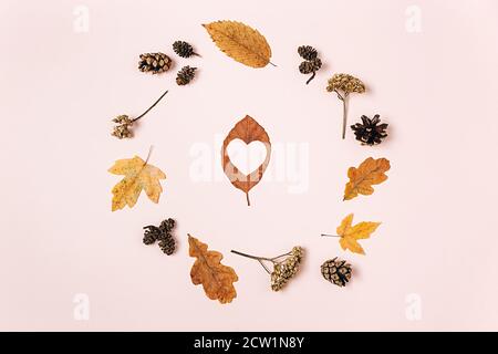 Composition d'automne. Couronne faite de feuilles séchées, de fleurs, de cônes de pin et de feuilles de forme de coeur sur fond rose studio. Automne, automne, Thanksgiving Banque D'Images