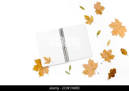 Composition créative avec différentes feuilles sèches et carnet sur fond blanc de studio. Automne, action de grâce, automne, halloween concept. Pose à plat, dessus vie Banque D'Images