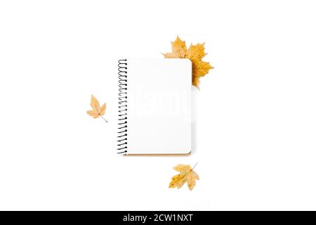 Créativité automne plat couché au plafond vue sur les petites feuilles d'érable séchées et carnet sur fond blanc studio espace de copie style minimal. Température de la saison d'automne Banque D'Images