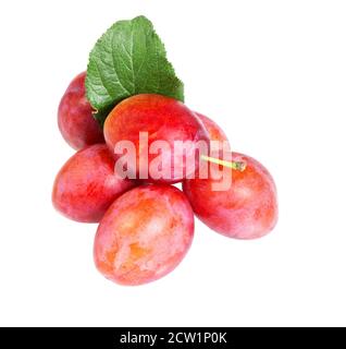 Prunes isolées sur fond blanc. Pruneaux juteux gros plan sur le tas de prunes. Banque D'Images