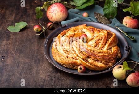 Tarte fraîche maison tordue à la pomme et à la cannelle dans un plateau vintage sur fond de contreplaqué rustique. Banque D'Images