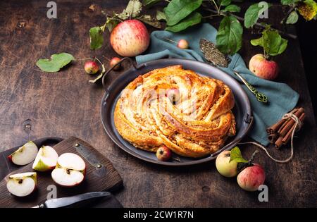 Tarte fraîche maison tordue à la pomme et à la cannelle dans un plateau vintage sur fond de contreplaqué rustique. Banque D'Images