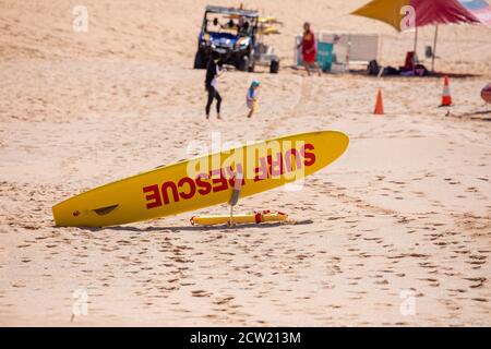 Équipe australienne de sauvetage de surf sur la plage à Avalon Beach À Sydney, Nouvelle-Galles du Sud, Australie Banque D'Images