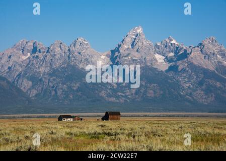 Vue classique des Grands Tetons, Schwabacher's Landing, parc national de Grand Teton, Wyoming, États-Unis Banque D'Images