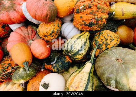 Photographie d'un assortiment de citrouilles, de mellons et de goards rouges, verts, blancs, orange et jaunes empilés sur une remorque dans une ferme du Maryland, aux États-Unis Banque D'Images