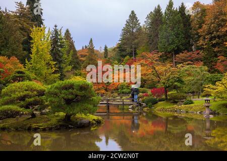 Un couple admire les magnifiques couleurs d'automne vibrantes du jardin japonais de Seattle Banque D'Images