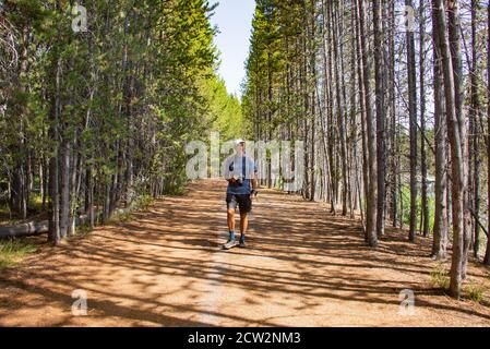 Promenade dans la forêt près du lac Jackson, parc national de Grand Teton, Wyoming, États-Unis Banque D'Images