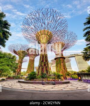 Singapour Supertrees dans le jardin près de la baie à la baie sud de Singapour