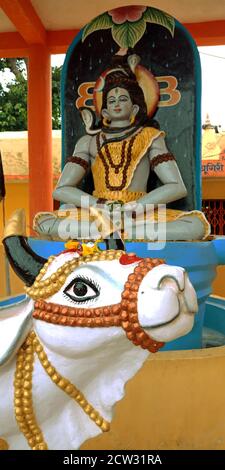 DISTRICT KATNI, INDE - 13 DÉCEMBRE 2019 : visage de la vache religieuse appelé lord nandi closeup sur fond de Lord shiva. Banque D'Images