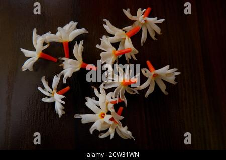 une vue de dessus de parijata fleurs groupe isolé sur brun tableau Banque D'Images