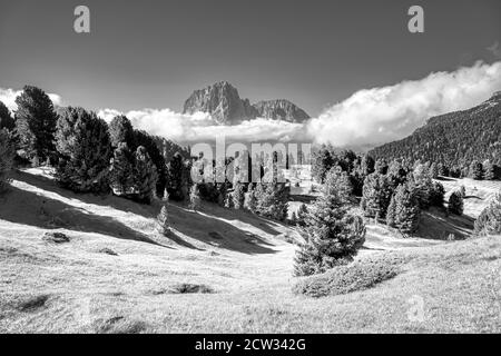 Panorama infrarouge surréaliste de Val Gardena pendant la saison estivale Banque D'Images