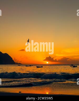 Tobago, Caraïbes. Magnifique coucher de soleil sur les eaux calmes au large du village de pêcheurs de Castara avec pélican volant et bateaux de pêche. Portrait, vertica Banque D'Images