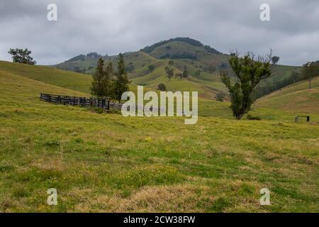 Campagne vallonnée près de Lostock, dans la région Upper Hunter, en Nouvelle-Galles du Sud, en Australie. Banque D'Images