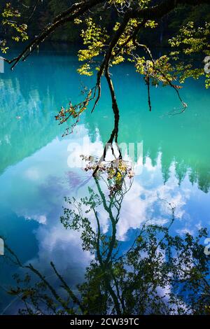 Laghi di Fusine Friuli Venezia Giulia Banque D'Images