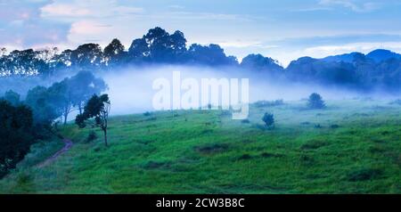 Paysage de prairies vertes dans la brume matinale, forêt tropicale et montagnes dans les fonds. Parc national de Khao Yai, Thaïlande. Banque D'Images