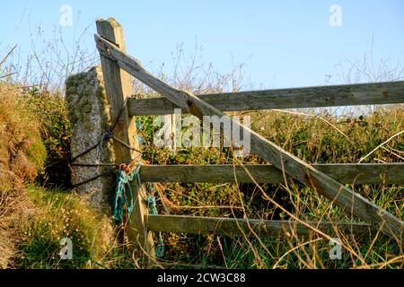 Une ancienne porte de cornouailles sur le chemin du sommet de la falaise entre Polurrian et Million. Lumière du soir début septembre. Banque D'Images