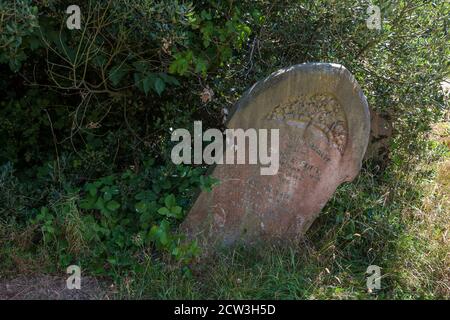 Cimetière du XIXe siècle surcultivé et abandonné : cimetière d'Ann's Hill, Gosport, Hampshire, Angleterre, Royaume-Uni Banque D'Images