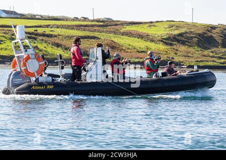 Irish Offshore Rowing Championships, Portmagee, Comté de Kerry, Irlande, septembre 2020 Banque D'Images